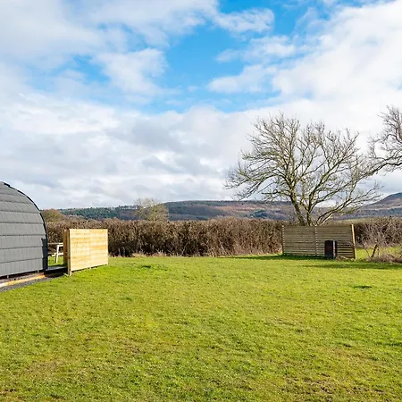 Wyke - Pod 2 *